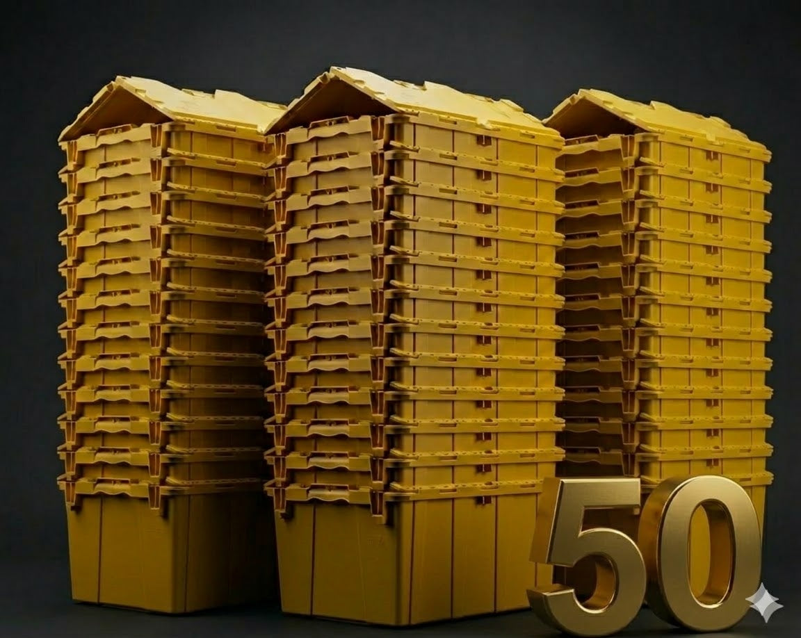 50 Bins Large Home 7 Day Rental